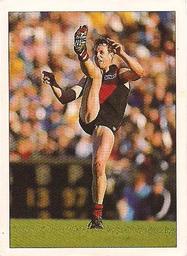 1990 Select AFL Stickers #60 Terry Daniher Front